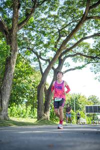 BIB: 
                            <button type="button" onclick="openModal(26545923)" class="btn btn-primary btn-sm float-right btn-popup" data-toggle="modal" data-target=".modal-high-quality">
                        <i class="fas fa-shopping-cart"></i> Add to Cart
                    </button>
                                            <button type="button" onclick="isThisMe(26545923, true)" class="btn btn-success btn-sm float-right btn-popup btn-isme hidden" data-toggle="tooltip" data-placement="bottom" title="นี่คือรูปของคุณใช่ไหม คลิกที่นี่เพื่อเอาเข้าอัลบั้ม">
                        <i class="fas fa-plus"></i> Add to album
                    </button>
                    <button type="button" onclick="isThisMe(26545923, false)" class="btn btn-warning btn-sm float-right btn-popup btn-isnotme hidden">
                        <i class="fas fa-ban"></i> Remove from album
                    </button>